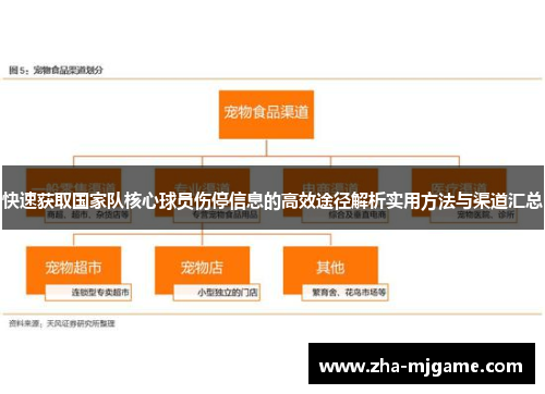 快速获取国家队核心球员伤停信息的高效途径解析实用方法与渠道汇总 快速获取国家队核心球员伤停信息的高效途径解析实用方法与渠道汇总